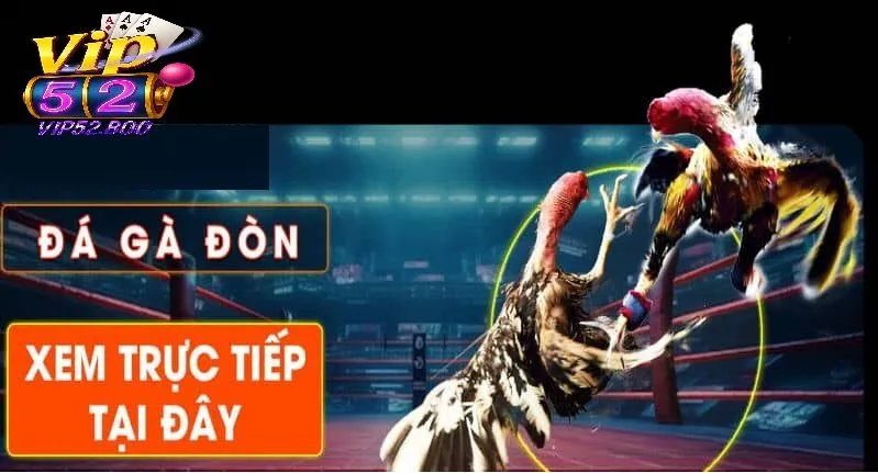 Hướng dẫn nhanh để tham gia xem Trực Tiếp Đá Gà Đòn tại Vip52